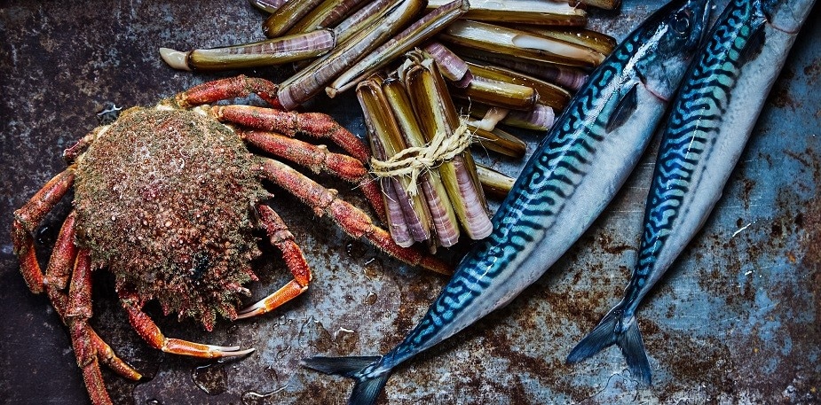 Trending fish